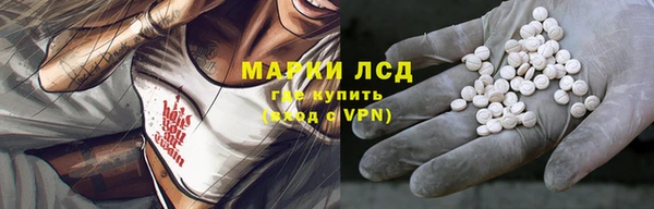 ГАЛЛЮЦИНОГЕННЫЕ ГРИБЫ Карпинск