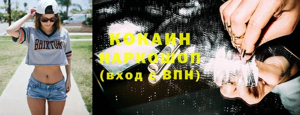 гидропоника Карталы