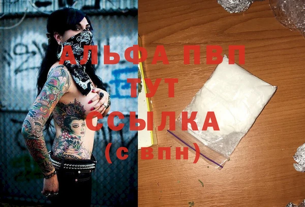 ГАЛЛЮЦИНОГЕННЫЕ ГРИБЫ Карпинск