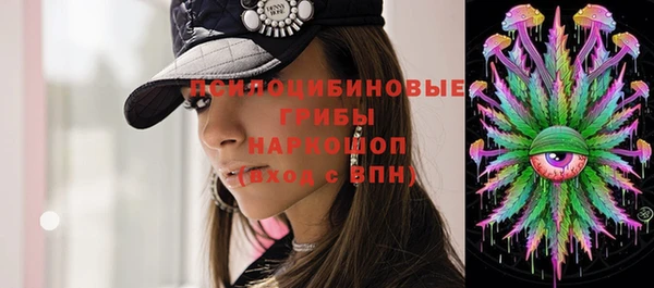 ГАЛЛЮЦИНОГЕННЫЕ ГРИБЫ Карпинск