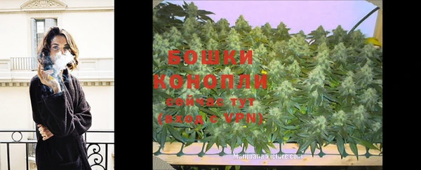 гидропоника Карталы