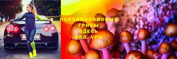 гидропоника Карталы