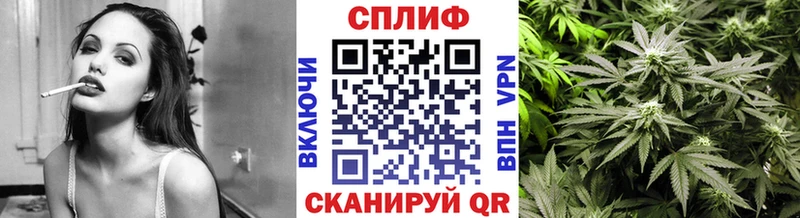Канабис гибрид  Купить  Кологрив 